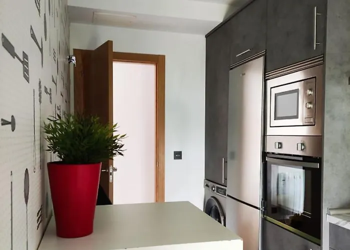 Fridda House Rias Baixas Vigo Daire *